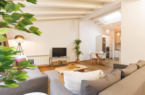 Barri Vell Apartment | Bravissimo Força 17 Llum, Penthouse Apartment with two bedrooms