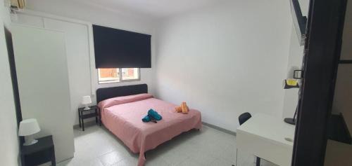 L'Olivereta House | Céntricas, Tranquilas y Acogedoras Habitaciones de Matrimonio en Vivienda Compartida