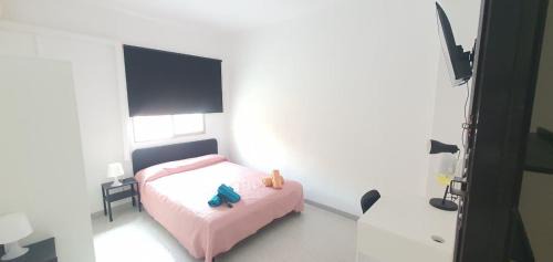L'Olivereta House | Céntricas, Tranquilas y Acogedoras Habitaciones de Matrimonio en Vivienda Compartida