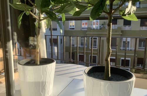 El Gancho Apartment | Céntrico Apartamento de 3 Hab. con Parking Gratuito