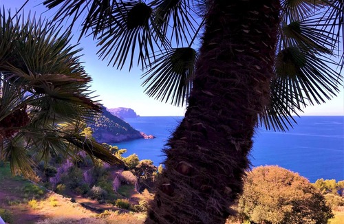 Banyalbufar House | C´an Co Banyalbufar, Mallorca