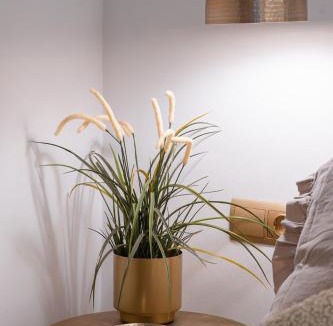Montblanc Apartment | Ca l'Eli Loft