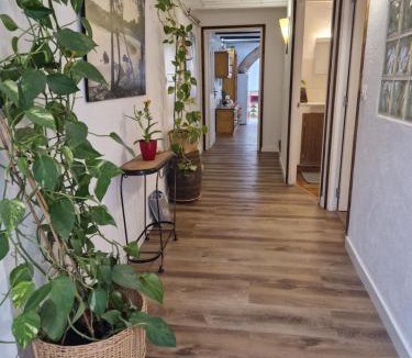 Bellcaire d'Emporda Apartment | Ca la Teia