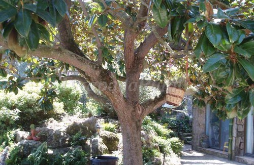 Romanya de la Selva Cottage | Cabin ∙ 2 bedrooms ∙ 4 guests