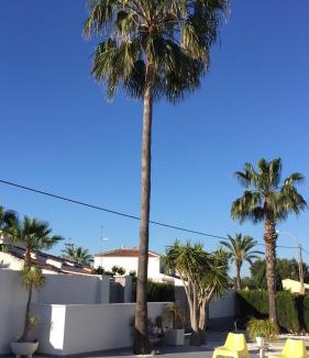 Quesada Villa | Calle de las Rosas