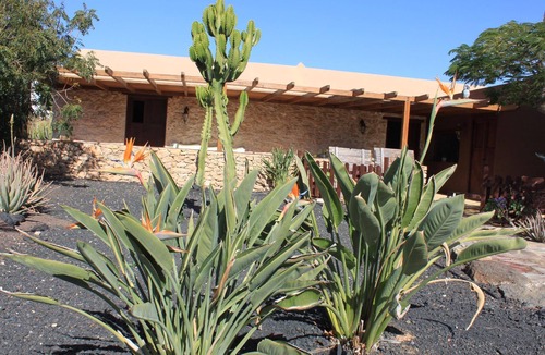 Tuineje House | Canarian house with private pool and garden