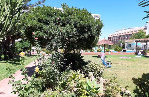 Carihuela Apartment | Carihuela Palace