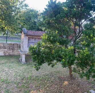 Melon House | Casa 1921
