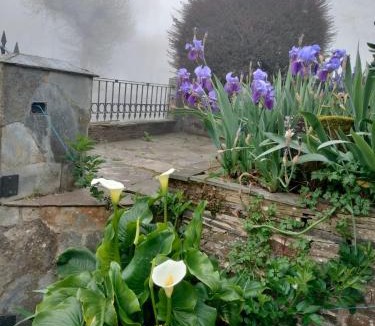 Currelos House | Casa Benaxo Ribeira Sacra