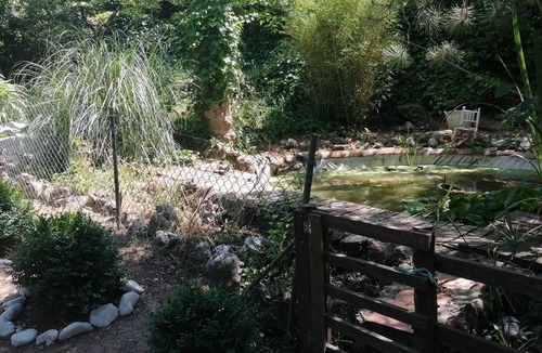 Sotillo de las Palomas Cottage | Casa con Piscina, Amplio Jardín y Barbacoa. En Montaña, Rodeada de Naturaleza