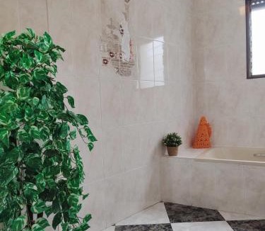 Campillo de Altobuey House | Casa Conchita