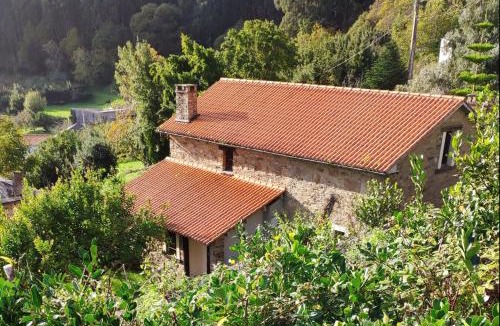 Carino House | Casa da Oliveira