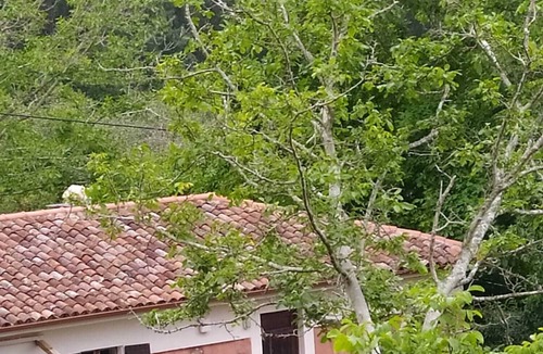 Feas Cottage | Casa de Campo Ecológica en la Bella Galicia