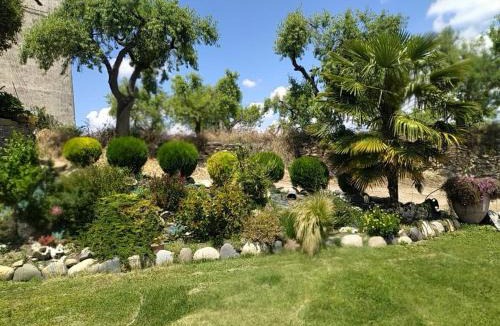 Bellestar House | Casa Dominica
