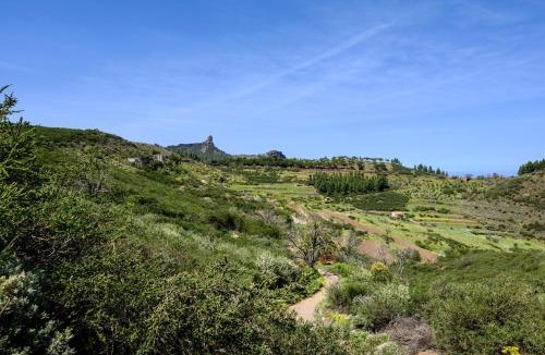 Vega de San Mateo Villa | Casa El Castaño