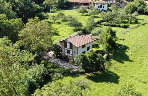 Arguebanes Ski Chalet | Casa el Viñadal