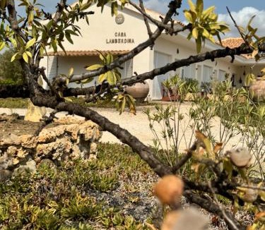 Lorca Bed & Breakfast | Casa Lamberdina