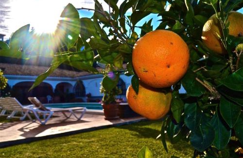 El Paraiso Villa | CASA MICHAEL - El Paraiso, Marbella