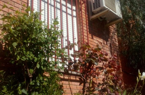 Siles House | Casa Pinos