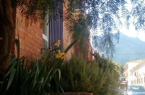 Siles House | Casa Pinos