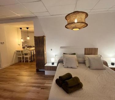 Xativa Apartment | Casa Portalet