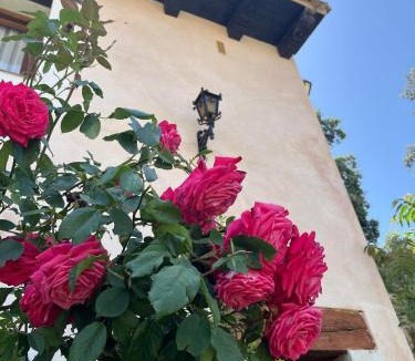 Chillaron del Rey House | Casa rural La Colmena - The place to bee