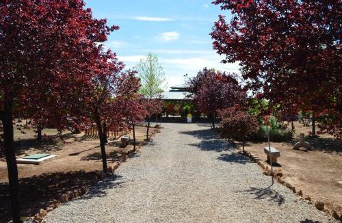 Santa Cruz De Mudela House | Casa Rural La Florentina