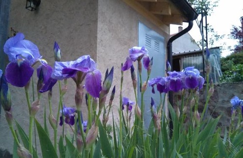 El Rasillo de Cameros House | Casa Rural Marem