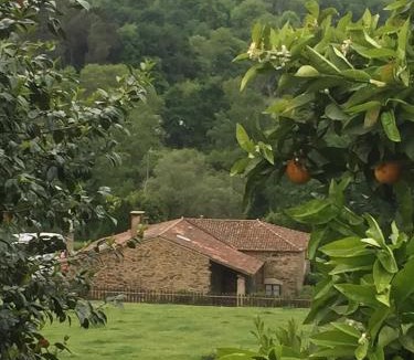 Vila de Cruces House | Casa Torres
