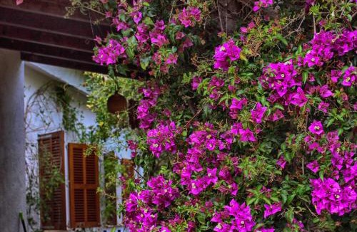 Son Servera House | Chalet Tres Mares, Cala Millor