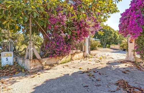 Palma de Mallorca Villa | Charming country house – Villa Es Molí de’n Palmer