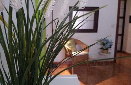 Torremolinos Apartment | Coqueto miniapartamento junto centro Torremolinos