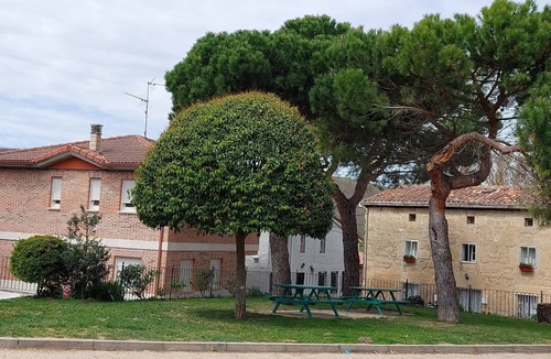 Mozoncillo de Juarros Cottage | Cottage (full rental) La Cabaña for 10 people