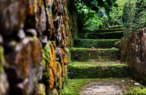 El Barcenal Cottage | Cottage-Private Bathroom-Garden view-El Molino