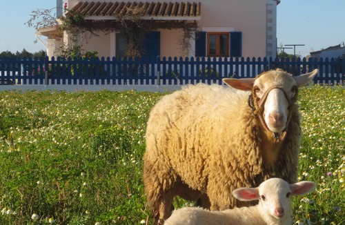 Sant Francesc Xavier Cottage | COUNTRY HOUSE IDEAL FOR COUPLES - FORMENTERA