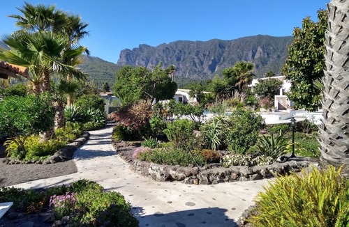 El Paso Apartment | Cozy apartment with patio in the subtropical garden with pool