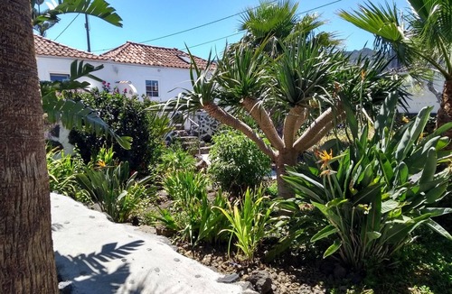 El Paso Apartment | Cozy apartment with patio in the subtropical garden with pool