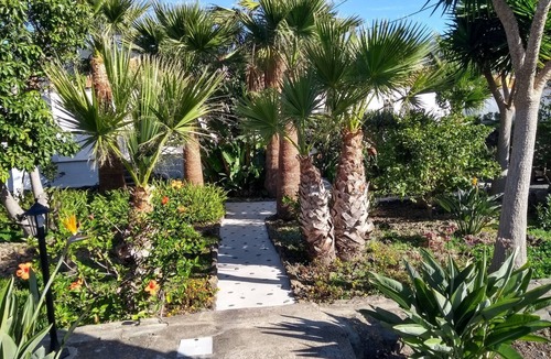 El Paso Apartment | Cozy apartment with patio in the subtropical garden with pool