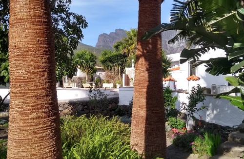El Paso Apartment | Cozy apartment with patio in the subtropical garden with pool