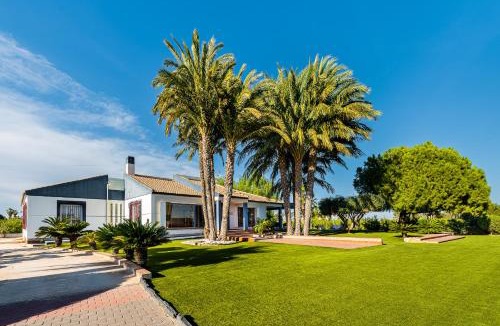Los Montesinos House | El Bancalito ideal para Familias & Grupos