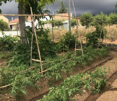 Alcala la Real Bed & Breakfast | El Carmen