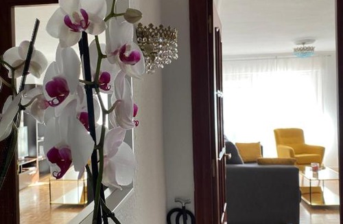 Leon Apartment | El Mirador del Rey