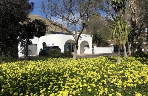 Nijar House | El Olivo