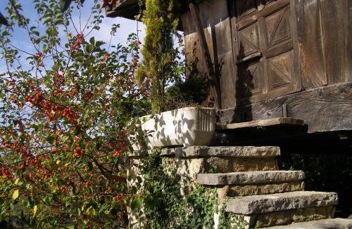 Viobes House | El Pedrueco turismo rural
