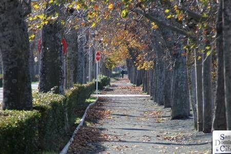 Santo Domingo de la Calzada Apartment | 70 m² Apartment ∙ 3 bedrooms ∙ 6 guests
