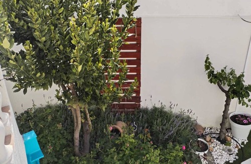 Alhambra House | Fantástica Vivienda Turística Totalmente Renovada y Rodeada de Viñas Manchegas