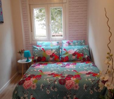 Valladolid Apartment | FANTÁSTICO PISO ARCO IRIS Junto Casco Histórico