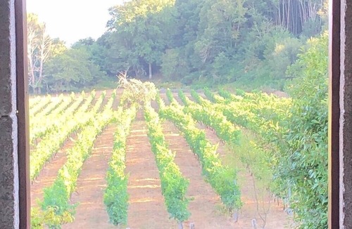 Panton House | Fantastic vineyard house with swimming pool, St James Road, Ribeira Sacra
