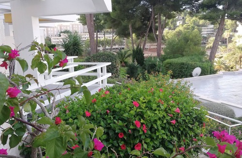 Cala Vinas Apartment | Favorite place in Mallorca, garden saltwater pool and direct sea access