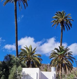 Santa Lucia Apartment | Ferienwohnung mit Panoramablick in der Finca Gran Calma - ideal für Wanderer